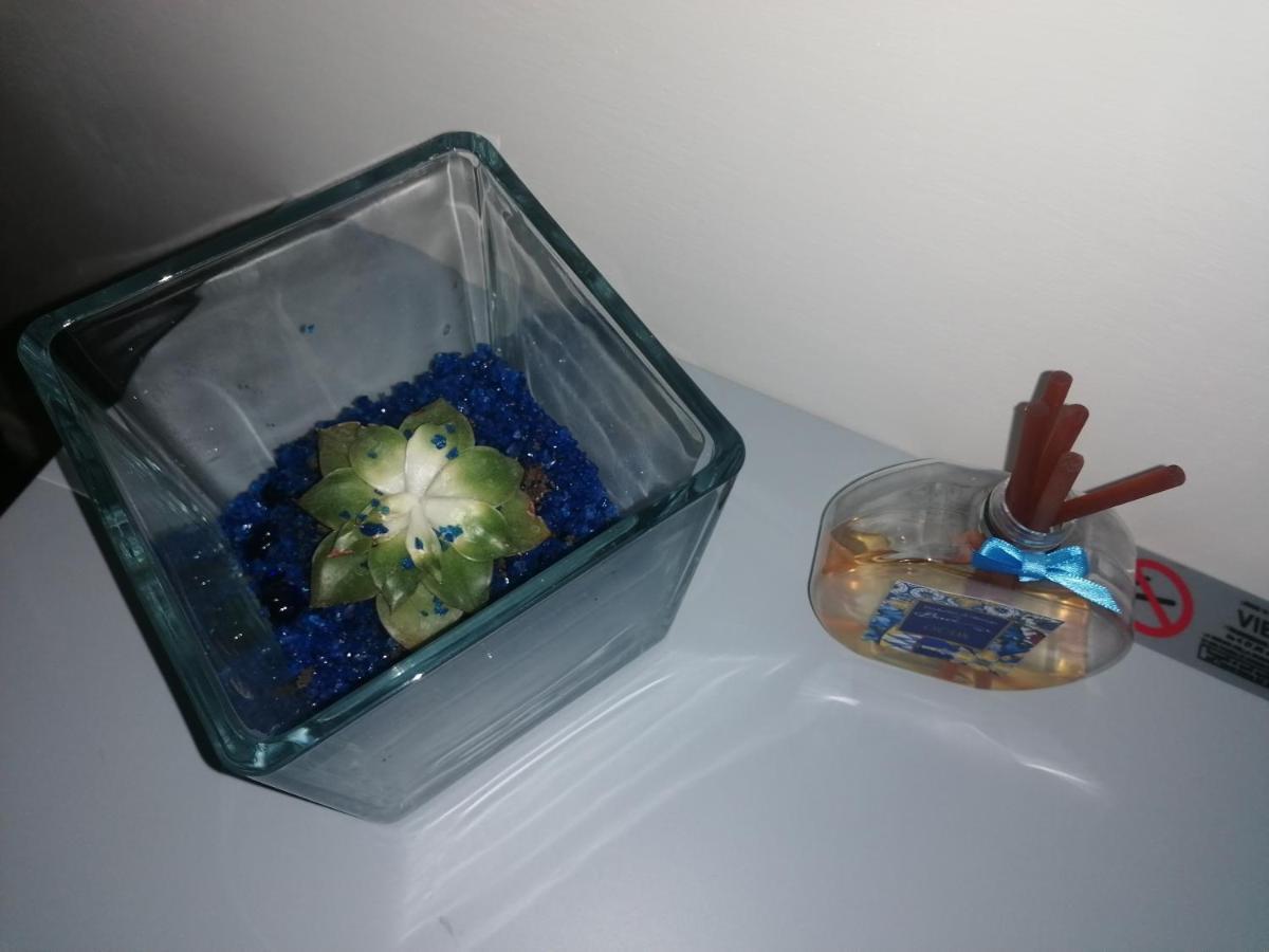 シャイン ハウス ローマ エクステリア 写真
